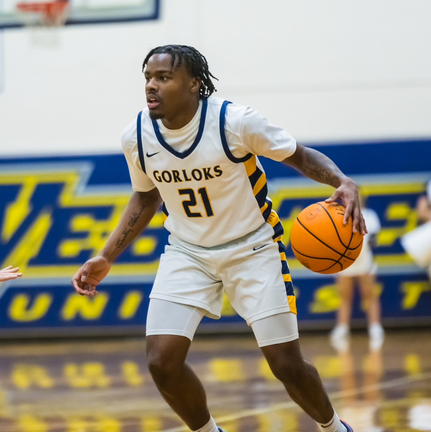 Pre-College Basketball Camp with a Webster University Athlete