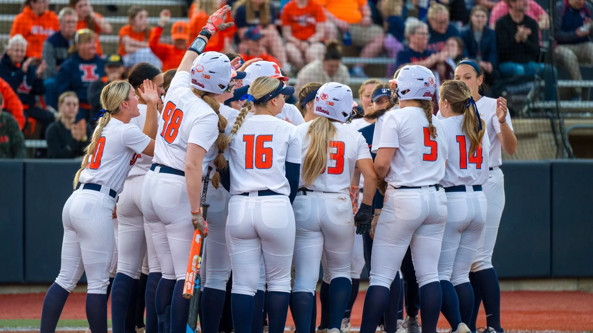 University of Illinois Softball Clinic