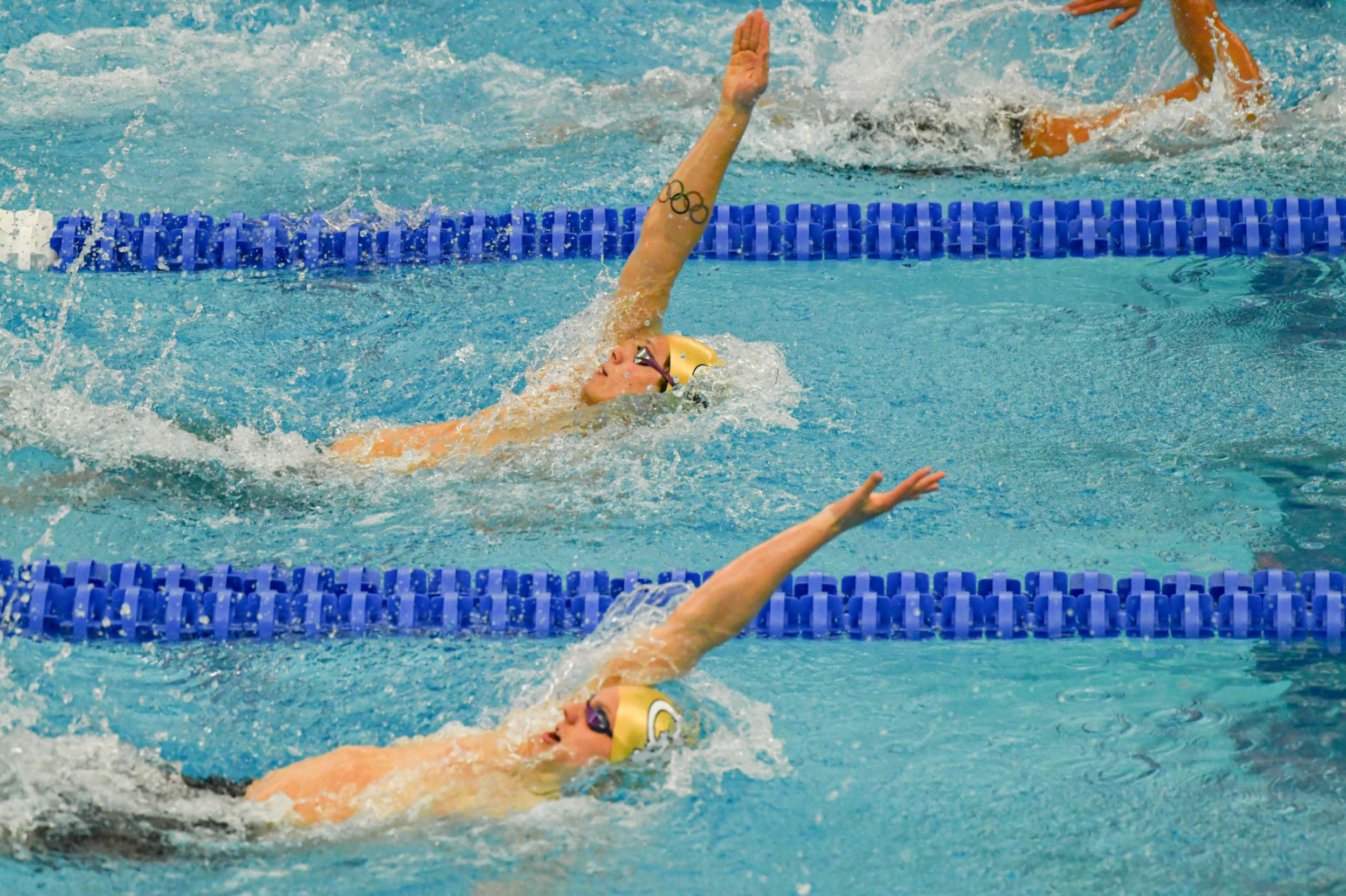 Gold Medal Swim Clinic II Session 1: Freestyle, Backstroke & Starts